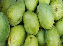 فروش انبه